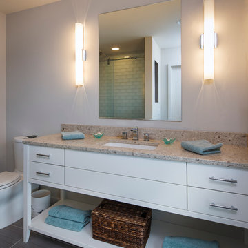 Contemporary Master Bath