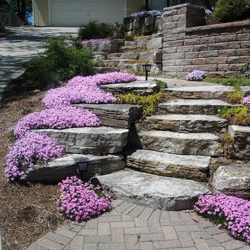 Our Work