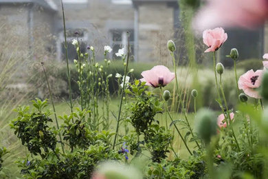 レンヌにあるモダンスタイルのおしゃれな庭の花壇の写真