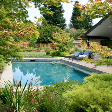 Mid-Century Modern