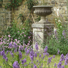 Garden Ideas