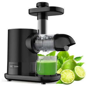 Hurom Elite Slow Juicer Model HH-SBB11 Noble Silver With Cookbook -  Contemporary - Juicers - by ChefPro | Houzz