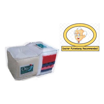 Pulsar Memory Foam Futon Mattress by Otis Bed - Best Rated