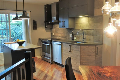 Design ideas for a small modern galley eat-in kitchen in Ottawa.