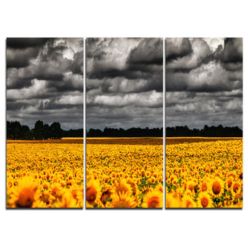 "Van Gogh Summer With Clouds" Artwork Canvas, 3 Panels, 36"x28"
