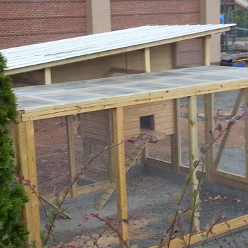 Extra Large Chicken Coop Combo