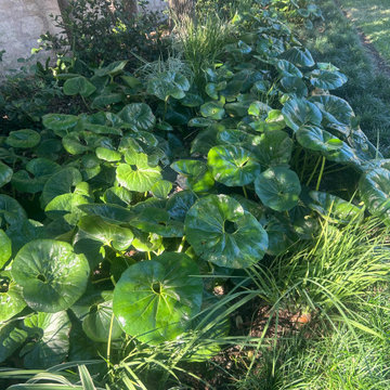 Landscape Maintenance