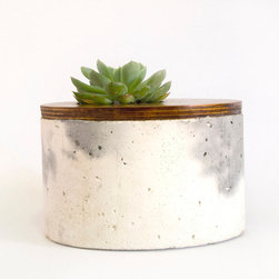Mr Clooney Planter - Indoor Pots And Planters