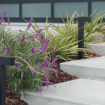 MODERN ENTRY