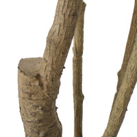 Hartshorn Artificial Heavenly Bamboo Nandina Tree, Green, 31.5wx29.5dx47.2h