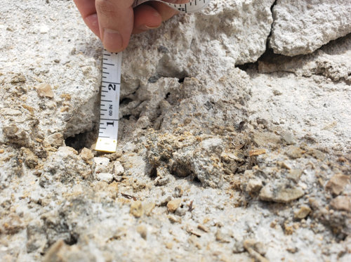 gunite shell