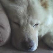 Carin Rosenberg's photo