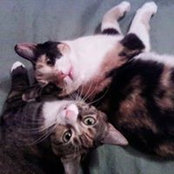Sandy Newfield's photo