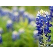 Darlane Hokanson's photo