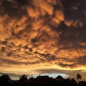Susie West's photo