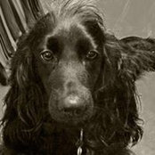 Anna Harding's photo