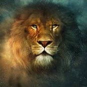 Jonathan Guira's photo