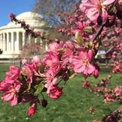 Carrie Pudleiner's photo