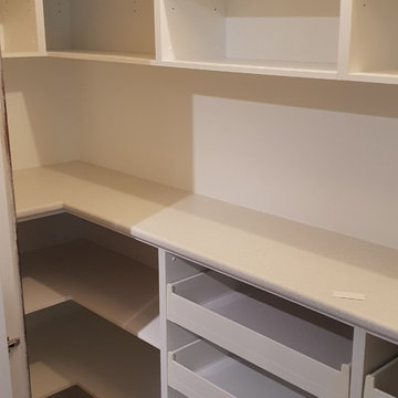 Contemporary Kitchen Renovation