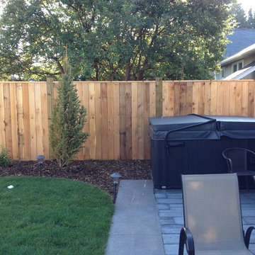 Woods backyard