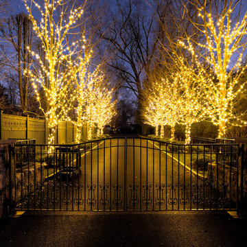 Holiday Decor - Residential Outdoor Lighting & Decorations
