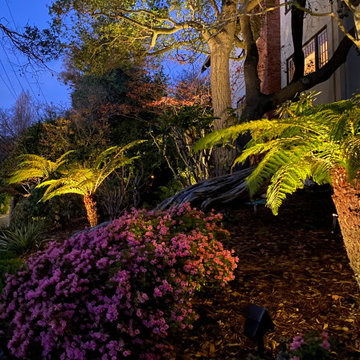Berkley Hills lighting project