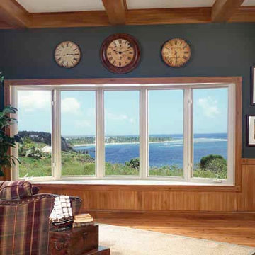 Windows & Doors