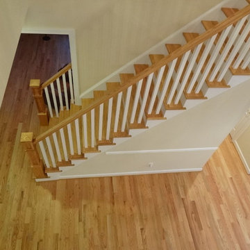 Steps & Handrail