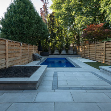 Modern Rectangular Swimming Pool & Backyard Renovation