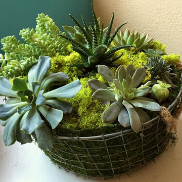 Nature in a Vase