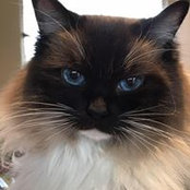 Debi Evans's photo