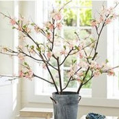 Lilly Nay's photo