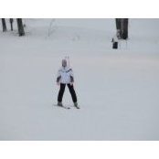 Terri Wise's photo