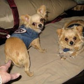 Mindy Mahaffey's photo