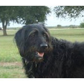 Susan Franklin's photo