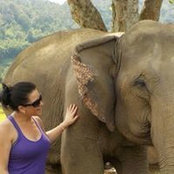Danielle Magnan's photo