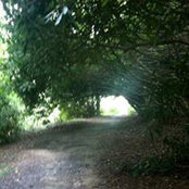 Tracey Buckley's photo