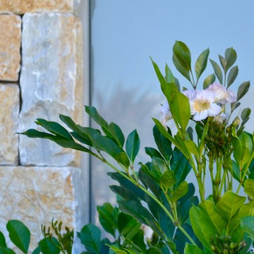 Mandurah Garden