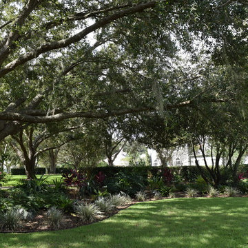 Nancy's Pomegranate Manor