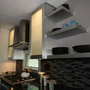 Kitchen - contemporary kitchen idea in Cleveland