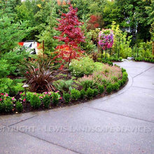 front yard