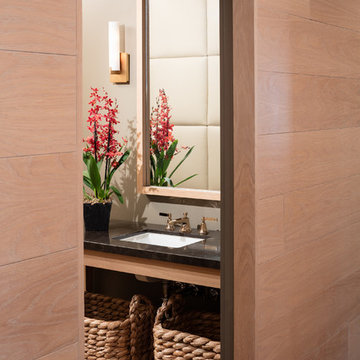 Bayou Bend Penthouse Renovation