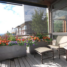 container garden