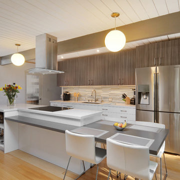 Sunnyvale Modern Kitchen