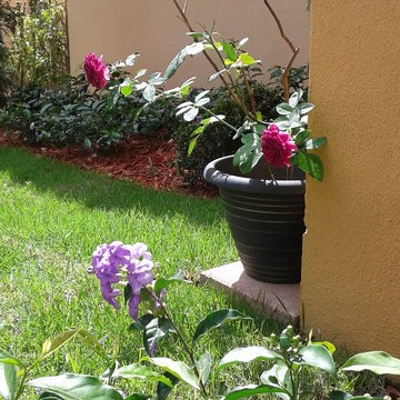 Couple’s dream Mediterranean landscape fulfilled