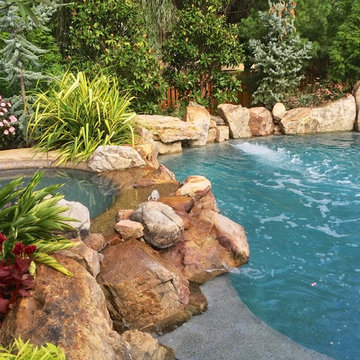 Backyard Oasis