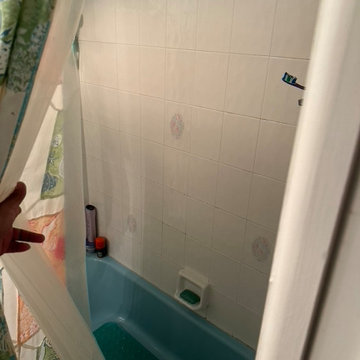 Bath Remodel