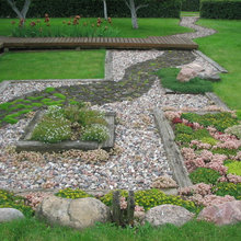 Landscape Ideas