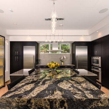 North St. Modern Dark-Stained Kitchen