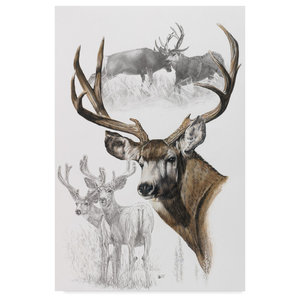 Global Gallery Chris Paschke Gilded Elk Canvas Artwork 30 x 30 